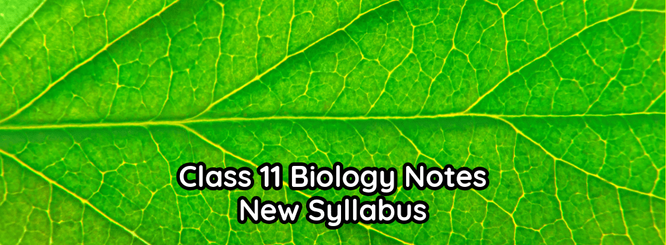 11th Class Biology Notes – PDF New Syllabus all Punjab Boards 2025-27