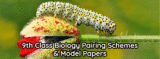 9th Class Biology Pairing Schemes and Model Papers 2025-27